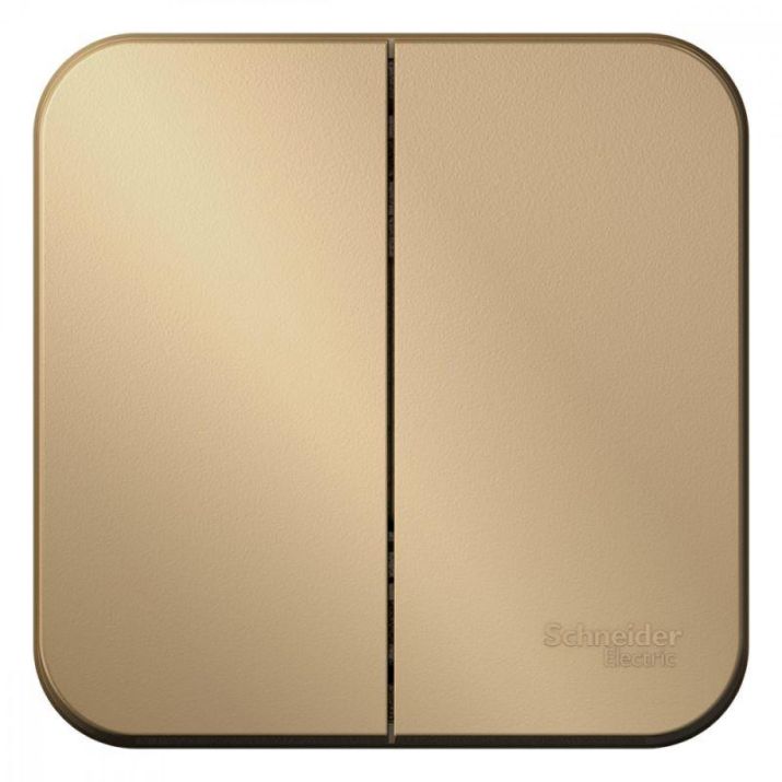 Изображение Выключатель 2-кл. ОП Blanca 10А IP20 (сх. 5) 250В с изолир. пластиной титан SE BLNVA105014