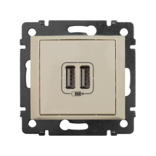 Изображение Розетка USB 2-м СП Valena сл. кость Leg 774170