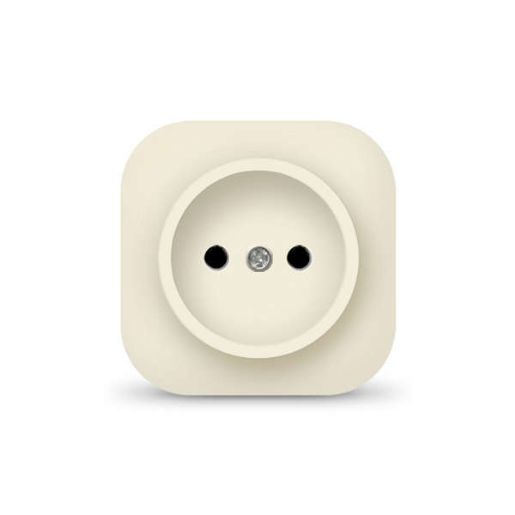 Изображение Розетка 1-м ОП 10А IP20 без заземл. сл. кость IONICH 1431