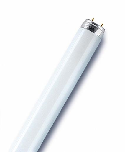 Изображение Лампа люминесцентная L 36W/640 36Вт T8 4000К G13 смол. OSRAM 4008321959713