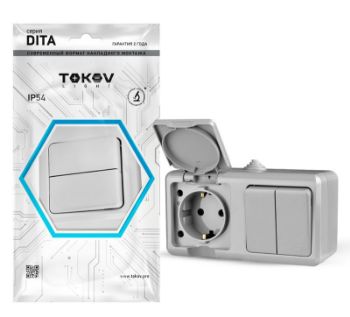 Изображение Блок ОП Dita (розетка 16А 250В с заземл. 2-кл. выкл. 10А) IP54 сер. TOKOV ELECTRIC TKL-DT-V2RZ-C06-IP54