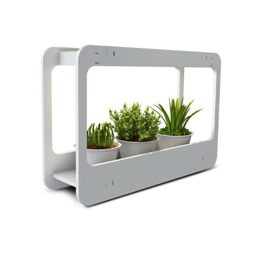 Изображение Подставка-светильник PMG 002 LED 14Вт 4000К для растений JazzWay 5009554