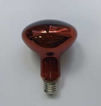 Изображение Лампа-термоизлучатель ИКЗК 230-100Вт R95 (30) КЭЛЗ 8105043