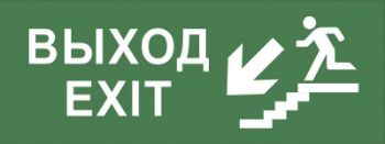 Изображение Этикетка самоклеящаяся 200х60мм "Выход/лестница вниз/фигура" DPA/DBA INFO-DBA-013 ЭРА Б0048465