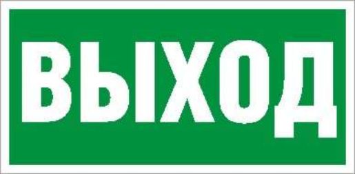 Изображение Пиктограмма "Выход" ПЭУ 010 260х130 PC-M MIZAR STANDARD (уп.2шт) СТ 2502002850