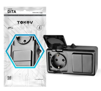 Изображение Блок ОП Dita (розетка 16А 250В с заземл. + 2-кл. выкл. 10А) IP54 карбон TOKOV ELECTRIC TKL-DT-V2RZ-C14-IP54