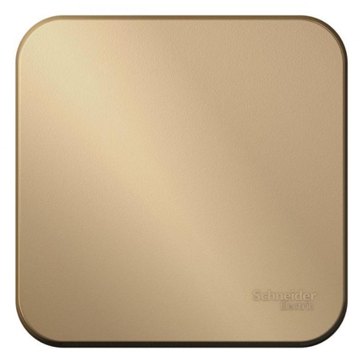 Изображение Переключатель проходной 1-кл. ОП Blanca 10А IP20 (сх. 6) 250В с изолир. пластиной титан SE BLNVA106014