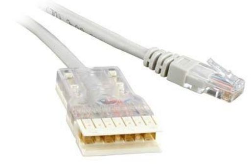 Изображение Патч-корд кат.5E 110-RJ45 4 пары PC-110-RJ45-4P-C5e-2M-LSZH-GY LSZH 2м сер. Hyperline 229904