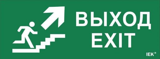 Изображение Этикетка самоклеящаяся "Выход/лестница вверх/фигура" ДПА IP20/54 IEK LPC10-1-24-09-VLVVF